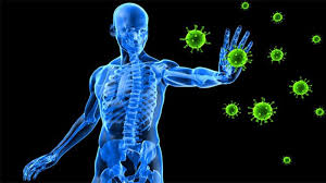Как укрепить вашу иммунную систему